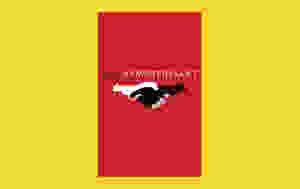 Der Sympathisant - Vietnam