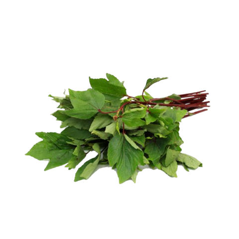 Gongura leaf | புளிச்ச கீரை | 1 bunch