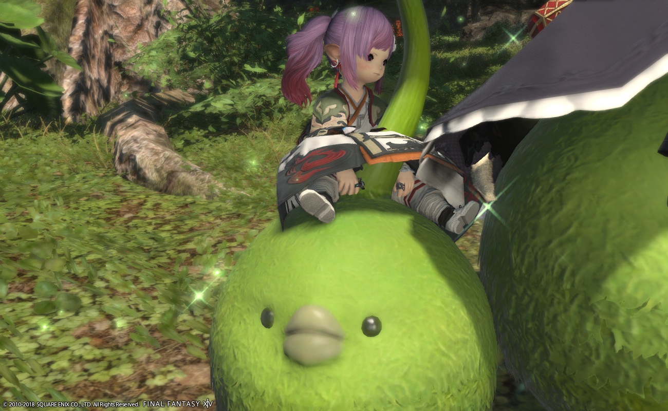 Marie Ronan Blog Entry アネモスモス Final Fantasy Xiv The Lodestone