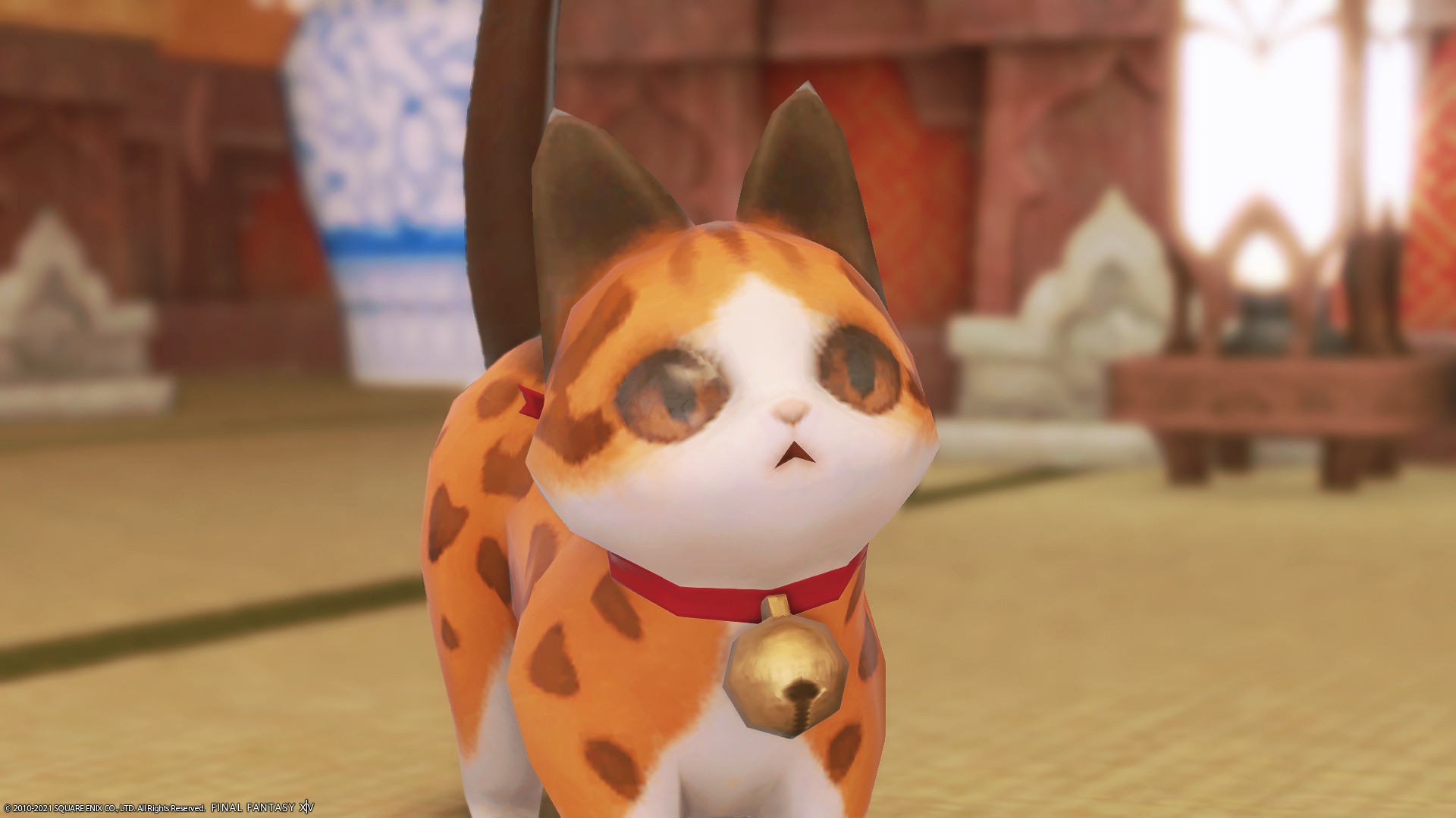 Marie Ronan Blog Entry 父の日というわけで実家に帰りますにゃ Final Fantasy Xiv The Lodestone