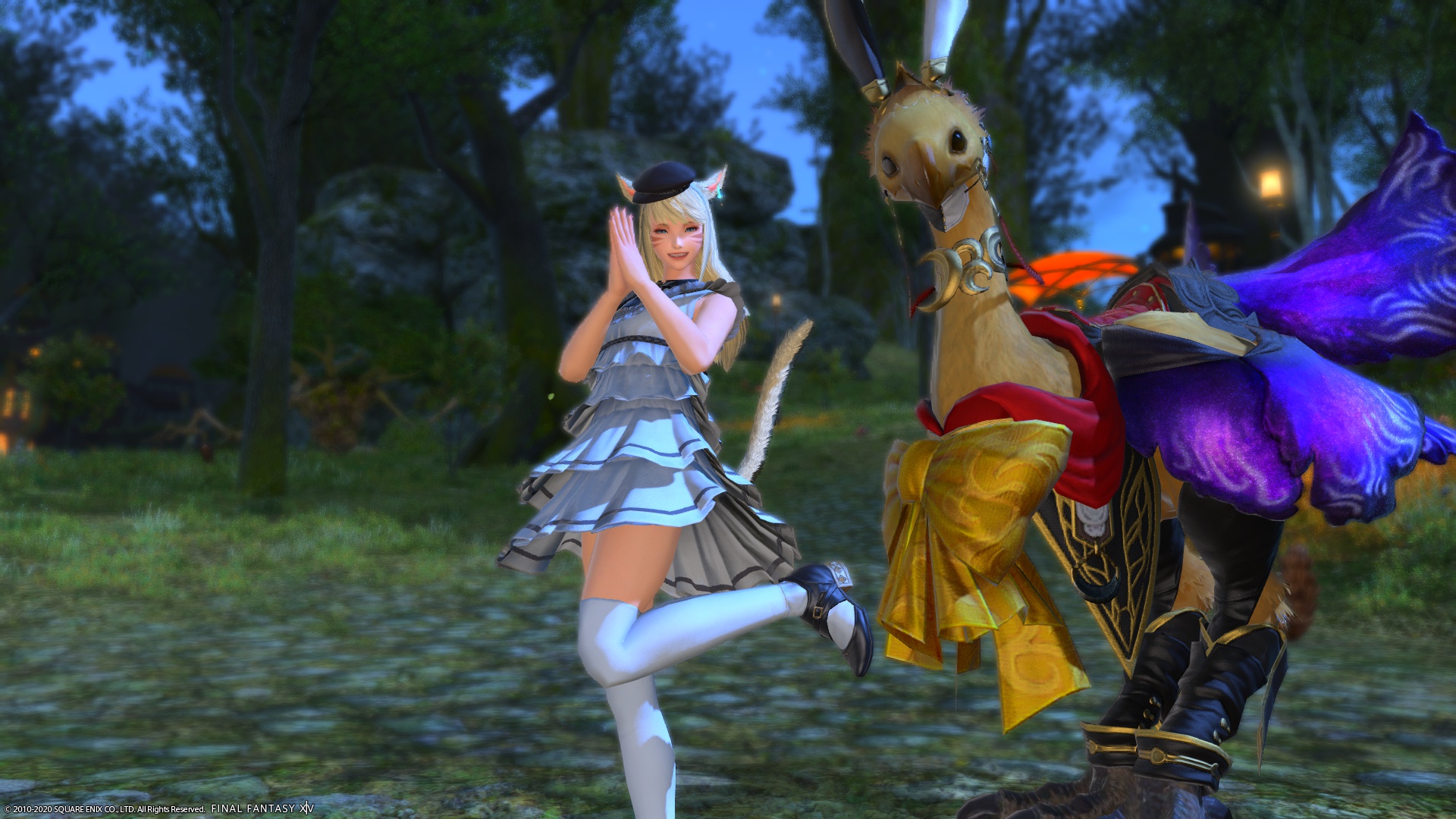 Marie Ronan 日記 チョコボの小ネタとドラクエコラボ Final Fantasy Xiv The Lodestone