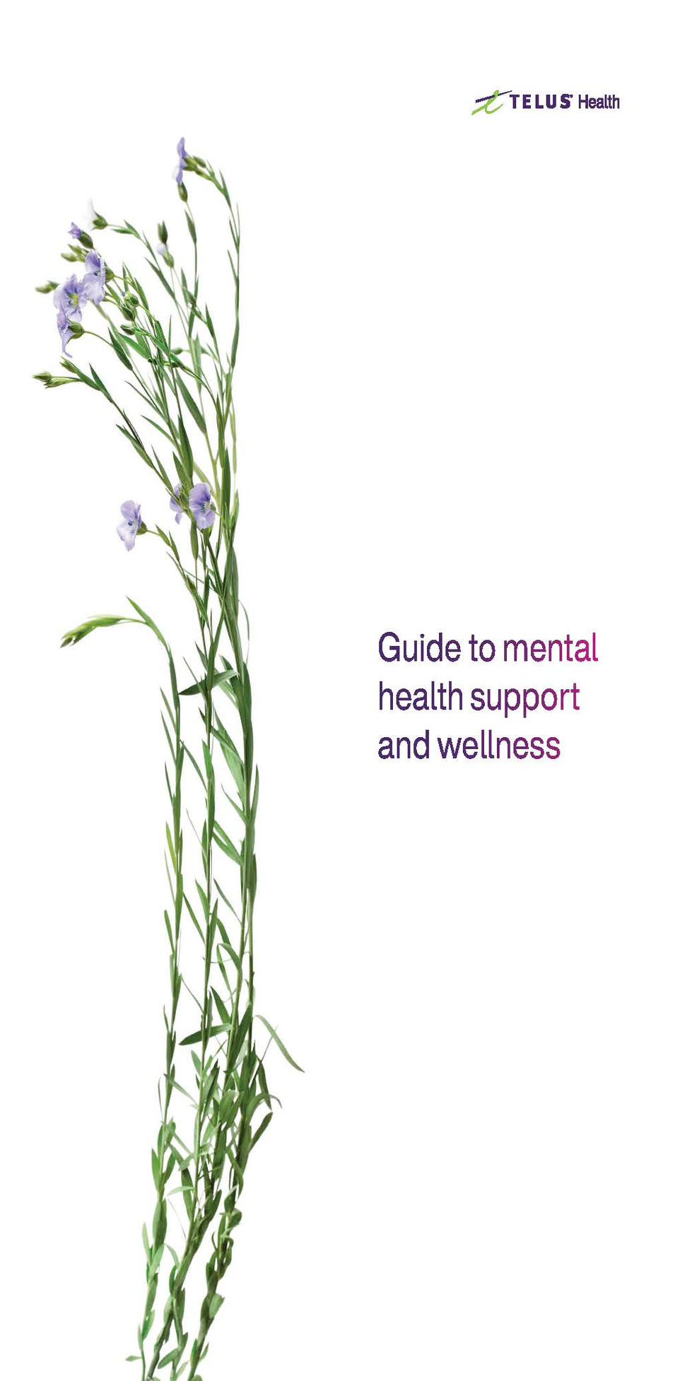 Guide to mental health support in women cover page