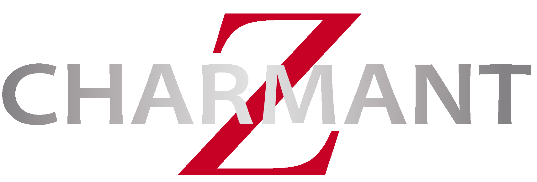ZT-logo-透明2.gif