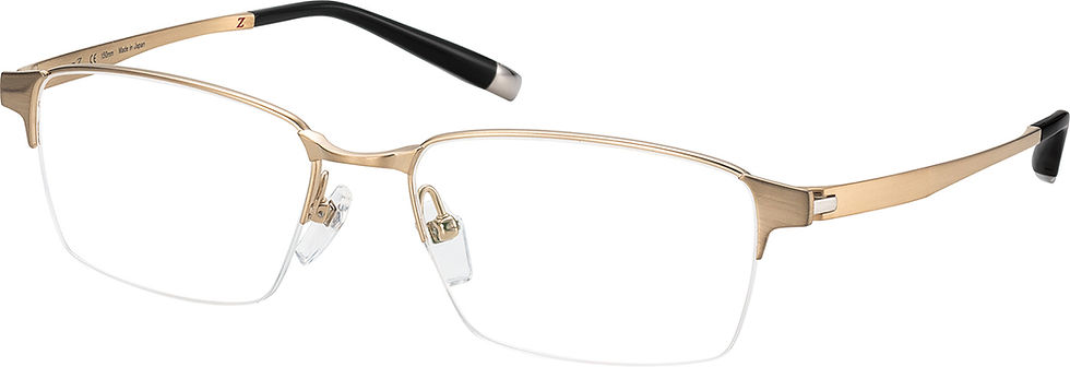 サムネイル： ZT27021 CHARMANT Z