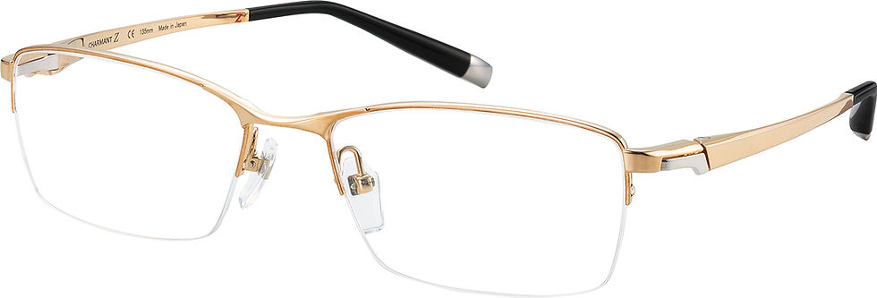 サムネイル： ZT27028 CHARMANT Z