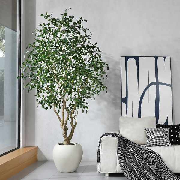 DR.Planzen 8ft Artificial Ficus Tree with 18in White Planter, Tall Faux Ficus Tree with thick leaves for Indoor outdoor Home Decor : Target