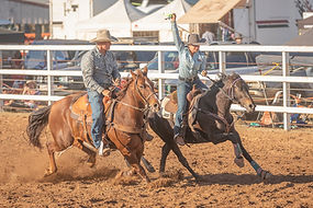 Normanton Rodeo & Campdraft | Normanton Rodeo Asso
