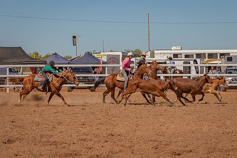 Get Involved | Normanton Rodeo Asso