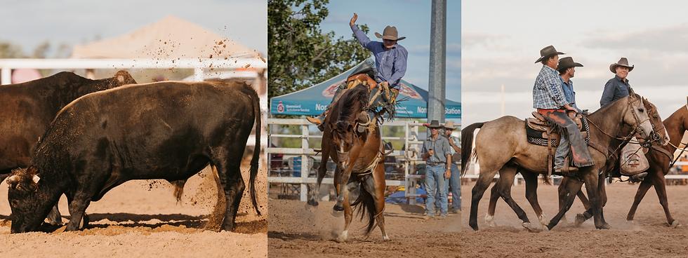 Galleries | Normanton Rodeo Asso