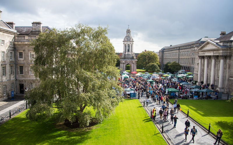 Students participating in orientation activities at Trinity University in Dublin