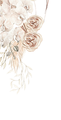 Copy of fluff 1_edited_edited.png