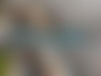 ⚠️Blocked gutters & overflowing?⚠️