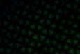 Green Pattern_edited.jpg