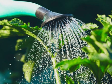 Presentamos un proyecto de ordenanza para implementar el Sistema de Reutilización de Agua de lluvia