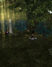 shadow_2026-06-04_171551_001.png