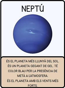 P8.png