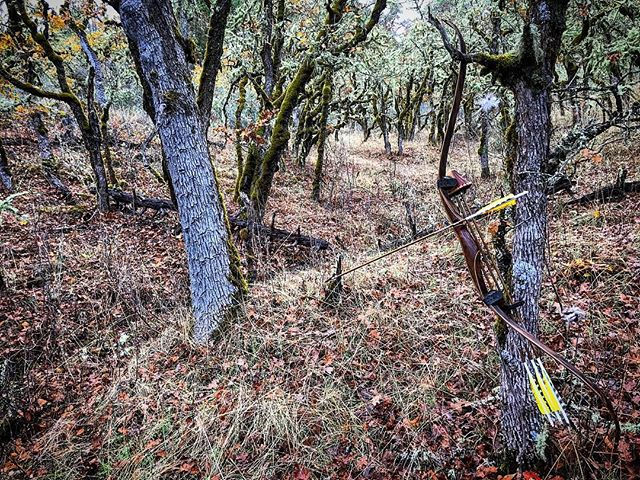 Barebow In the Blacktail Woods