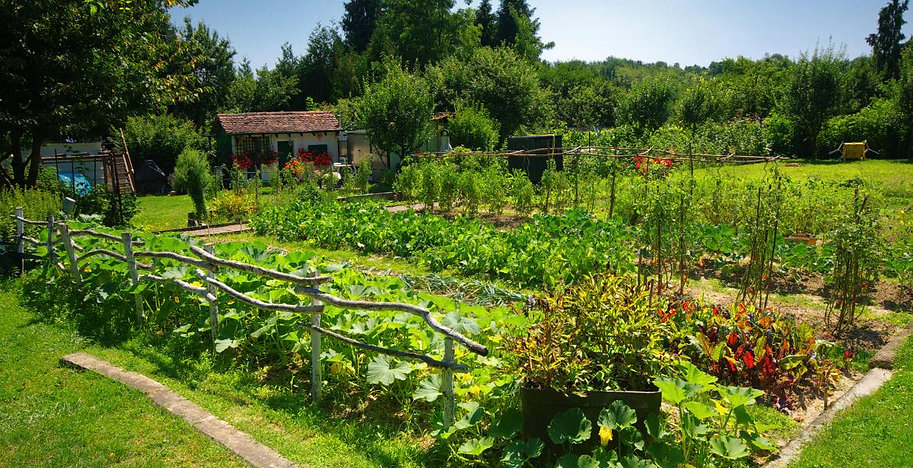 Photo potager effet cosy.jpeg