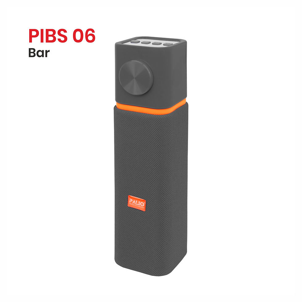 Thumbnail: PIBS 06 BAR