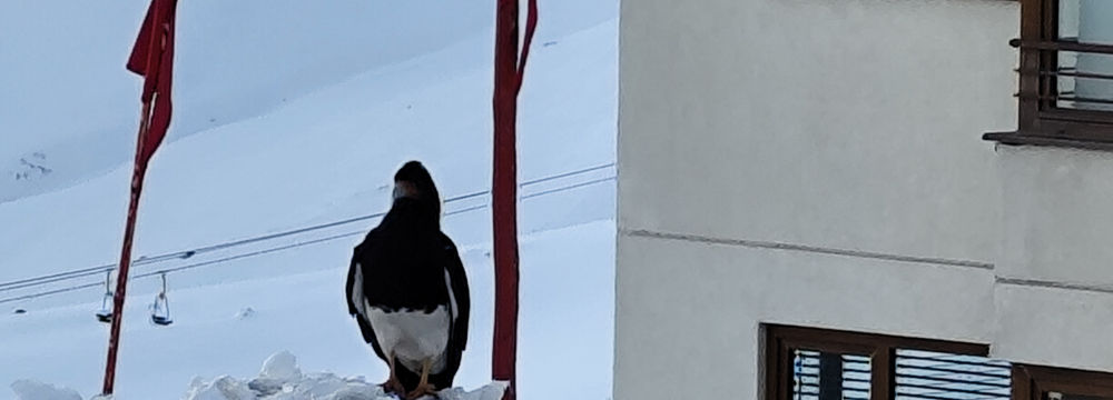 Farellones 2340 metros altitud nieve