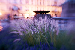 Boris Stojanov | Lensbabyfans | Mělník