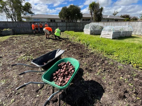 The Harvest is underway!