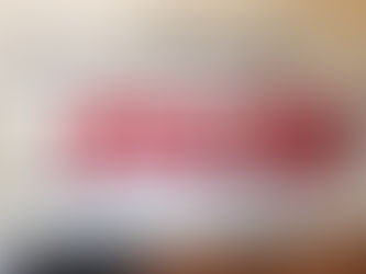 Mississippi economic council visits Marion county