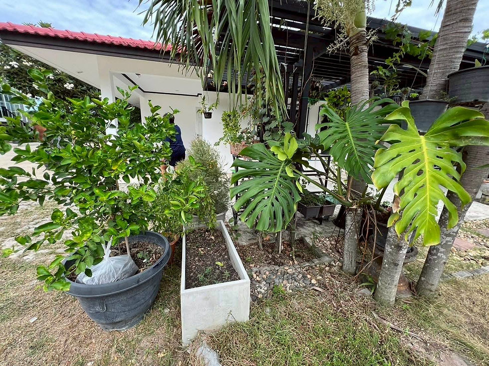 ภาพขนาดย่อ: 🚩P009 ขายบ้านห้วยใหญ่ บางละมุง พัทยา 🏡
บ้าน2หลัง