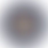 Voting begins TOMORROW (Tuesday, August 4, 2015) for the 2015 Primary Election