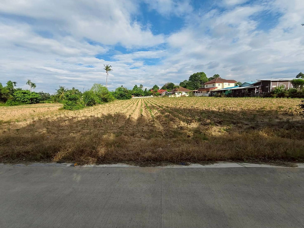 ภาพขนาดย่อ: 🚩 FFขายที่ดินห้วยใหญ่–ชากแง้ว ติดถนนหลักยางใหญ่
