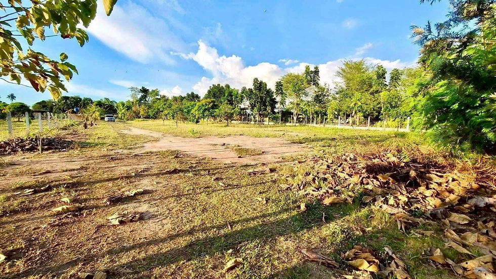 ภาพขนาดย่อ: 🚩 T192 ขายที่ดินสวยทำเลดี พิกัดสันติคาม หนองปลาไหล บางละมุง
