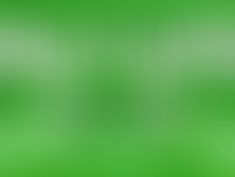 Walter Anderson Museum Summer Art Camp – Paint it Green