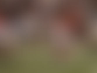 Steve Gleason will serve as keynote speaker, R+L Carriers New Orleans Bowl