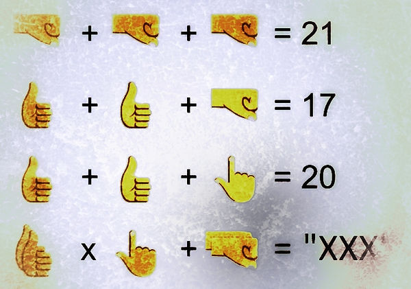 Dragonfly puzzle-02.jpeg