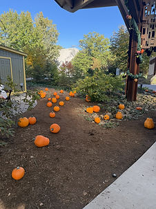 BP Pumpkin.jpeg