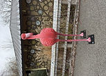 Flamingo 9.jpeg