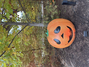 BP Pumpkin (7) (1).jpeg