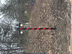 Christmas at the Zoo Red Ribbon (9).jpeg