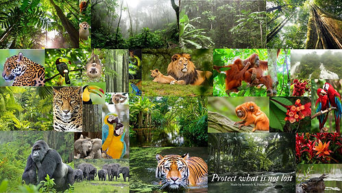 Protect what is not lost.jpg
