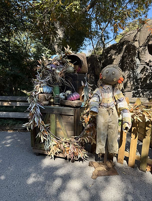 Forest Decor around Tiger (3).jpeg
