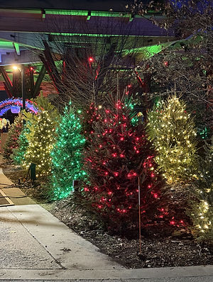 Christmas at the Zoo Santa's Village Christmas Trees.jpeg