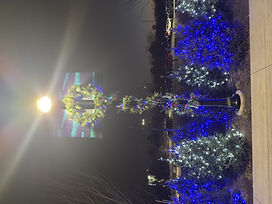 Christmas the Zoo Colt's Plaza Garland (2).jpeg
