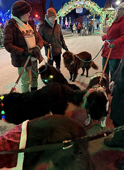 Christmas at the Zoo Volunteer Dogs (5).jpeg