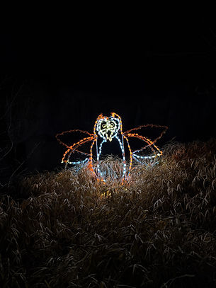 Christmas at the Zoo Owl Wireframe.jpeg
