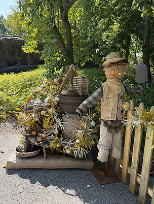 Forest decor around Red Panda (1).jpeg