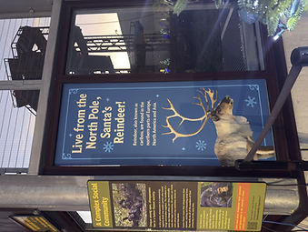 Christmas at the Zoo Reindeer Signage.jpeg