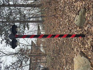 Christmas at the Zoo Red Ribbons (6).jpeg