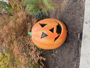 BP Pumpkin (5)  (1).jpeg