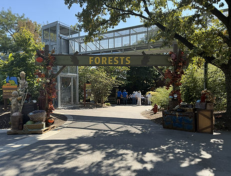 Forest Entrance.jpeg