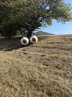 ZooBoo Train Eyes (3).jpeg